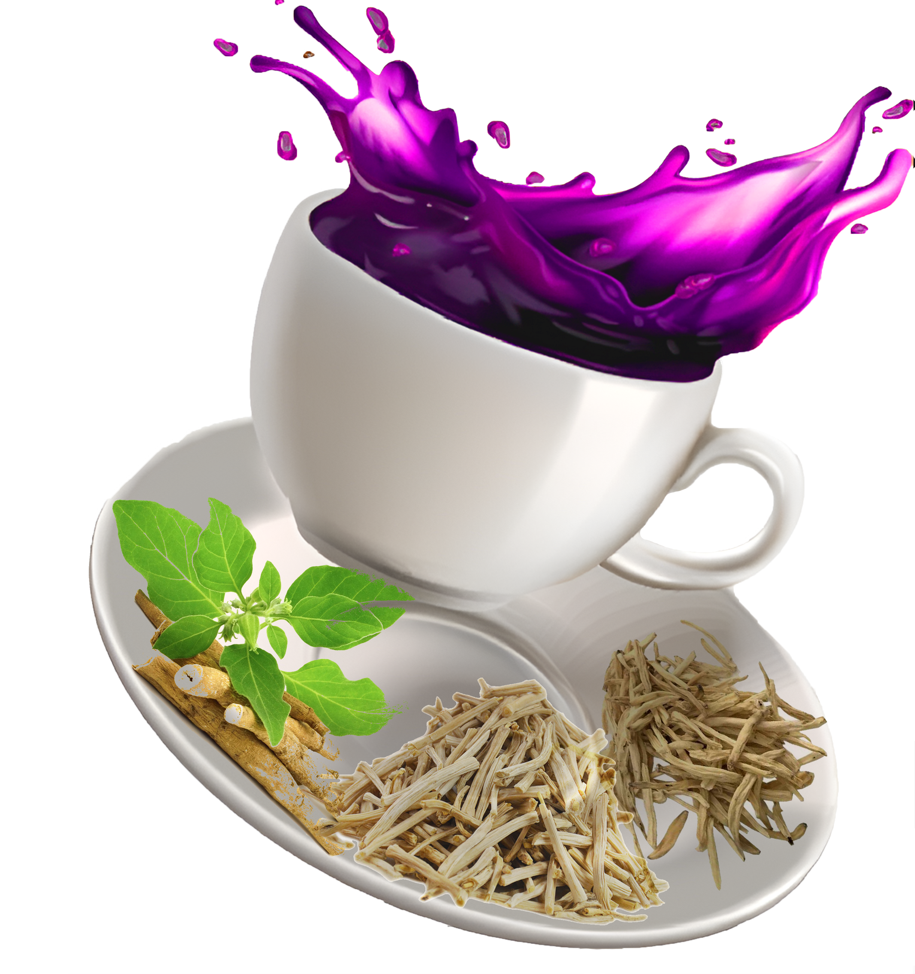 ekpurplechai.com